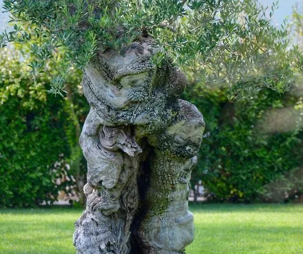 Tenuta Moreno Hotel Mesagne