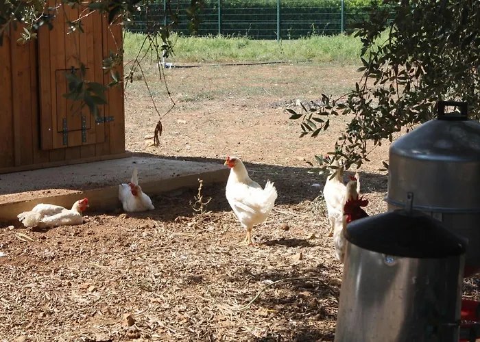 Tenuta Moreno Mesagne