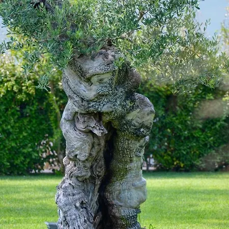 Tenuta Moreno Ξενοδοχείο Mesagne