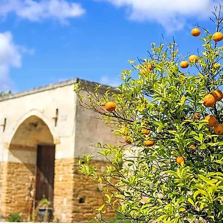 Tenuta Moreno