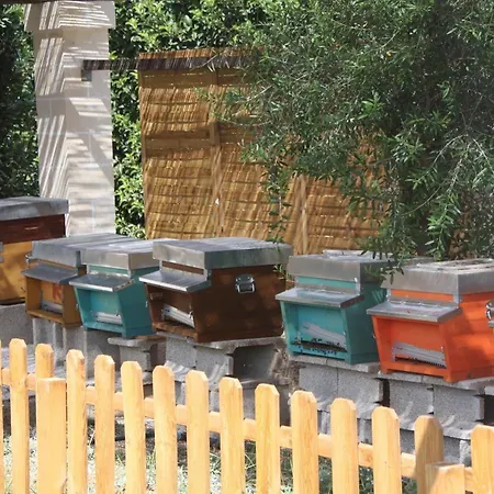 Tenuta Moreno Ξενοδοχείο Mesagne