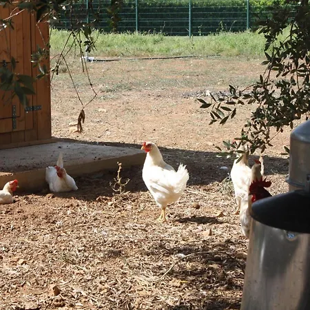 Tenuta Moreno Mesagne