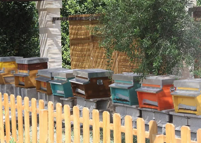 Tenuta Moreno Hotel Mesagne